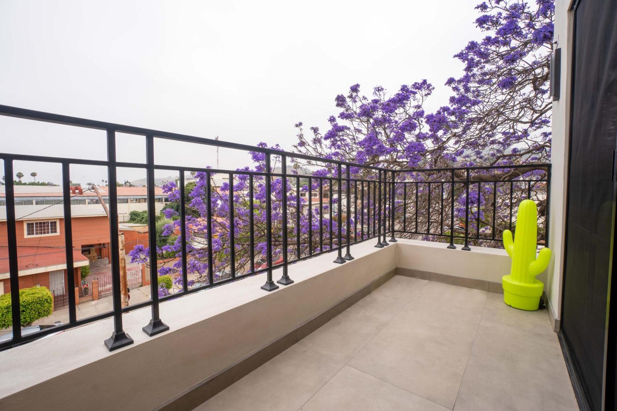 Suites Miramar14 Ensenada Dış mekan fotoğraf